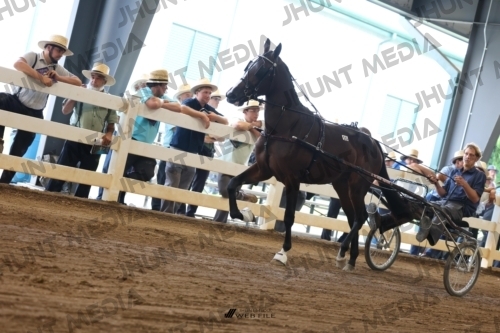 JHM_0558