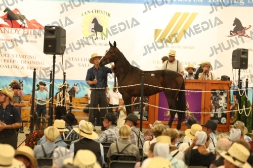 JHM_1502