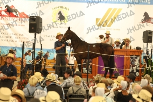 JHM_1503