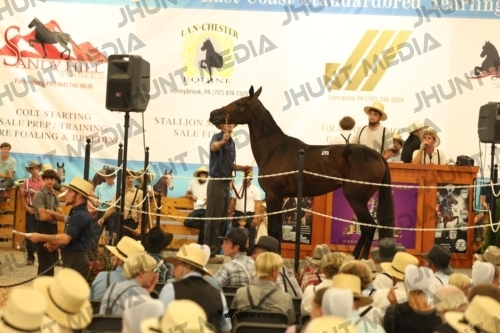 JHM_1504