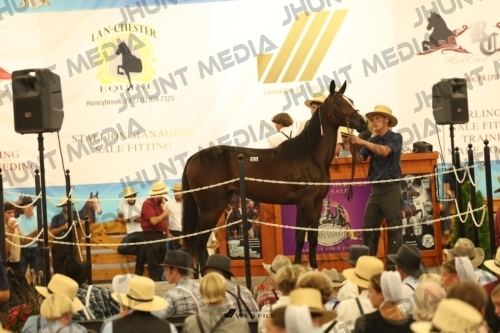 JHM_1505