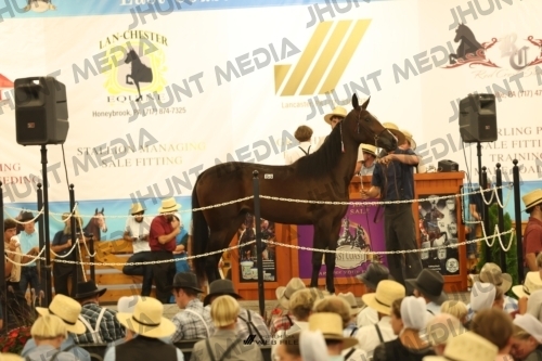 JHM_1506
