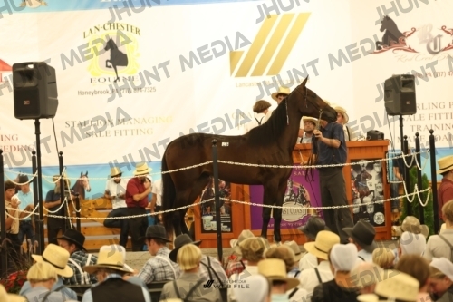 JHM_1507