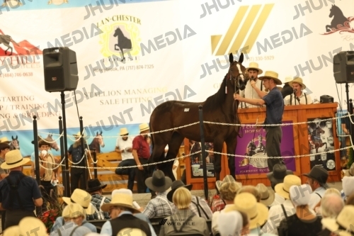 JHM_1508