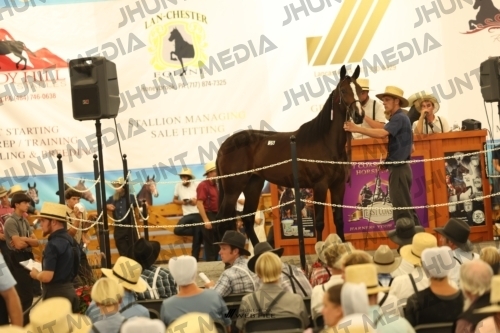 JHM_1509
