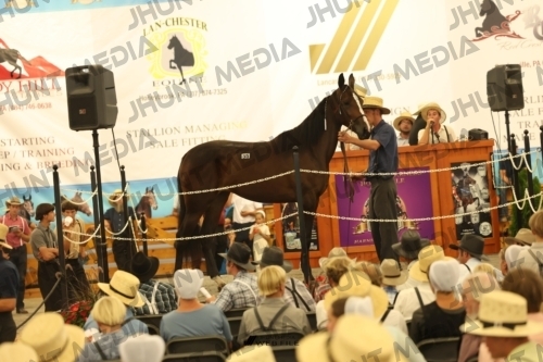 JHM_1510