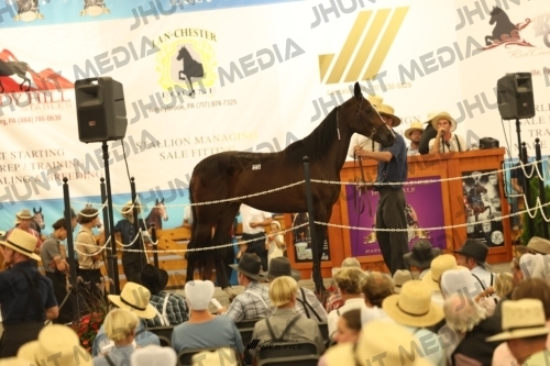 JHM_1511