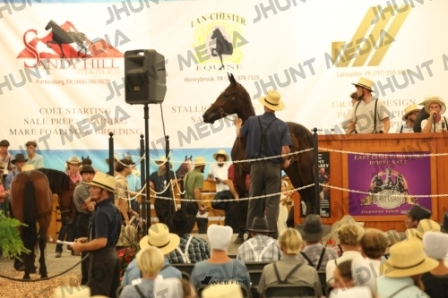 JHM_1514
