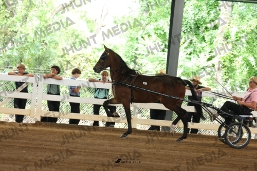 JHM_0240