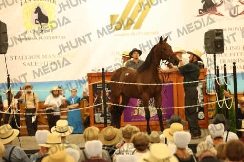 JHM_1763