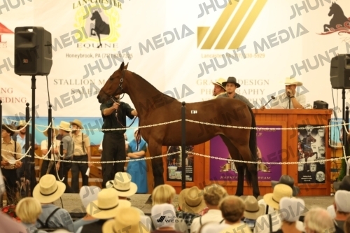 JHM_1767