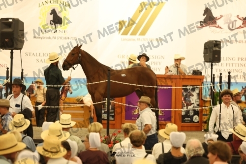 JHM_1769