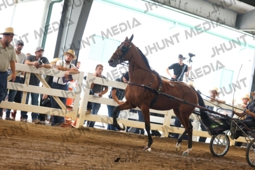 JHM_0187
