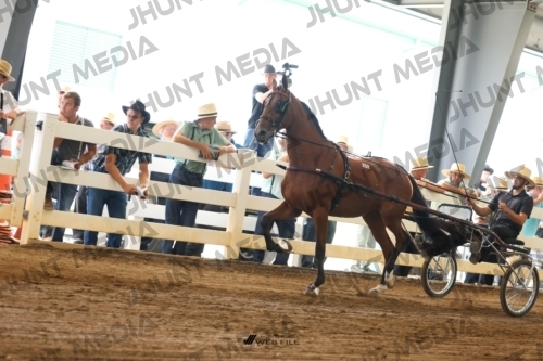 JHM_0195