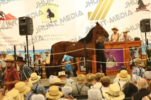 JHM_1752