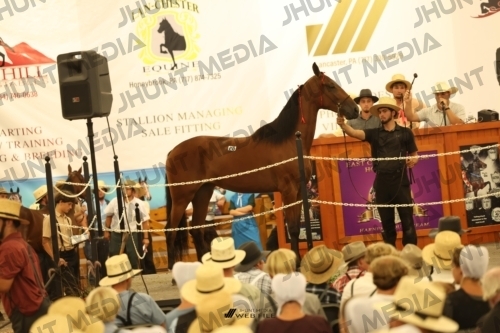 JHM_1761