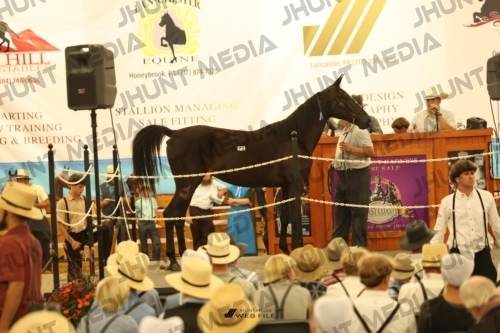 JHM_1725