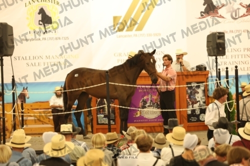 JHM_1726