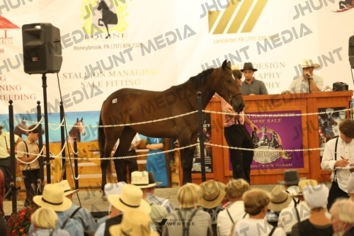 JHM_1729