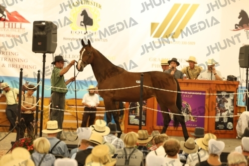 JHM_1733