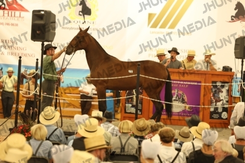 JHM_1734
