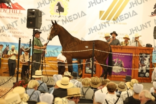 JHM_1735