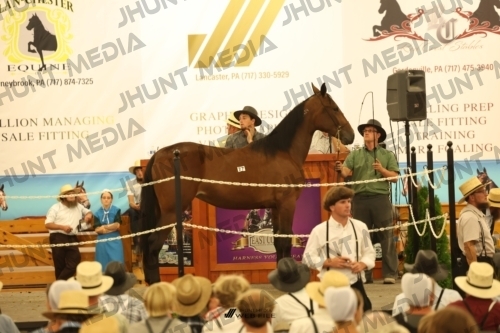 JHM_1736