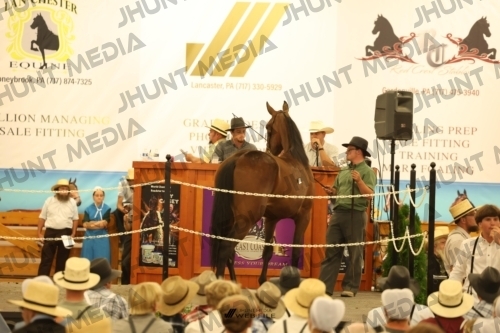 JHM_1738