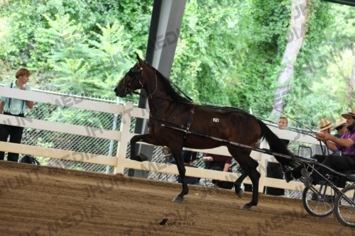 JHM_0527