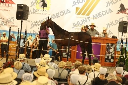 JHM_1746