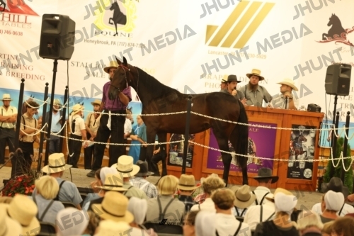 JHM_1747