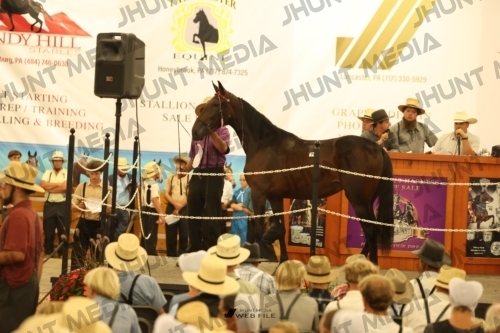 JHM_1748