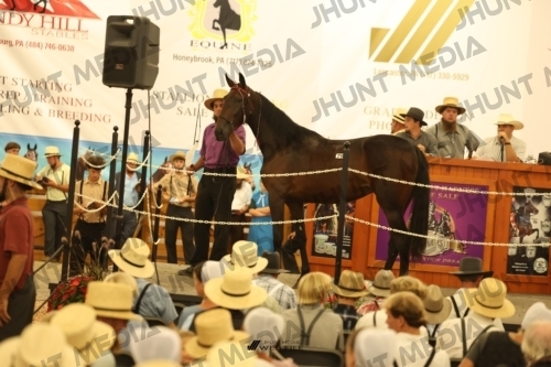 JHM_1749