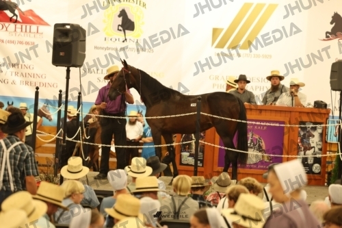 JHM_1751