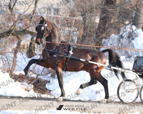 JHM_0734