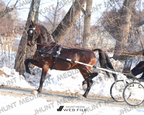 JHM_0757