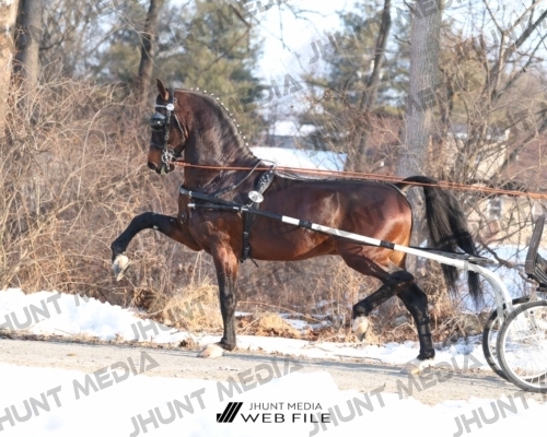 JHM_0758