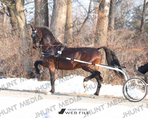 JHM_0759