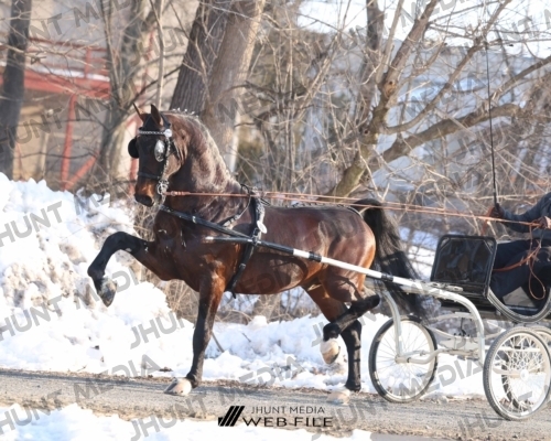 JHM_0767