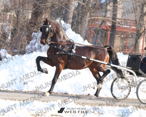 JHM_0768