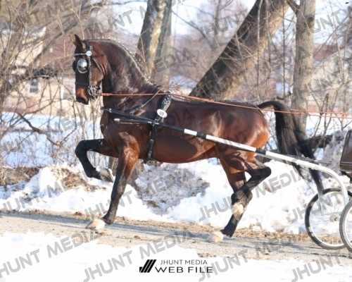 JHM_0770