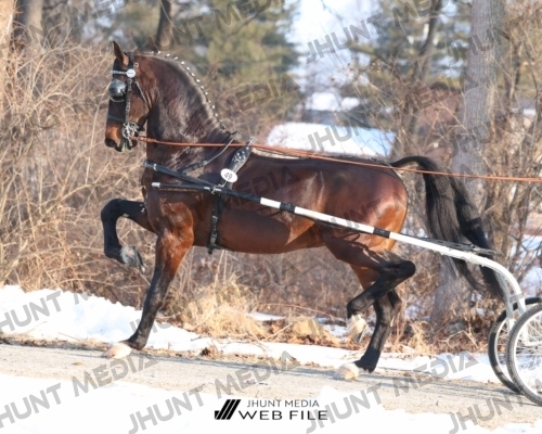 JHM_0771