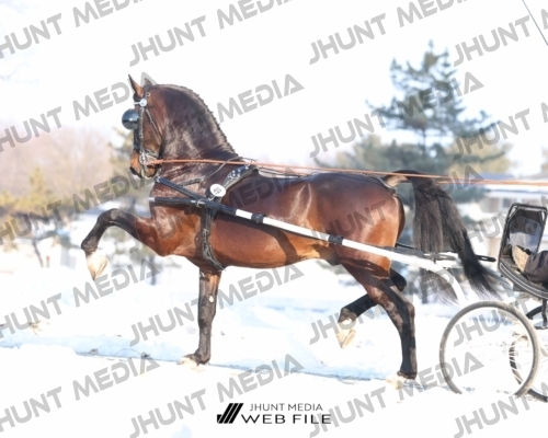 JHM_0773