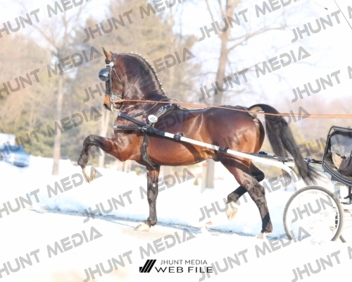 JHM_0774
