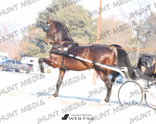 JHM_0775