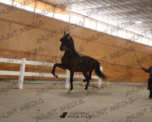 JHM_1580
