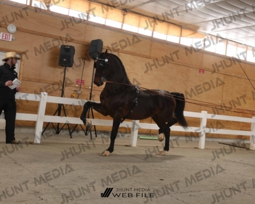 JHM_1581