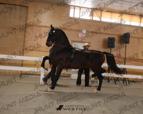 JHM_1582