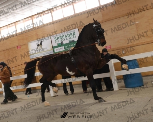 JHM_1587