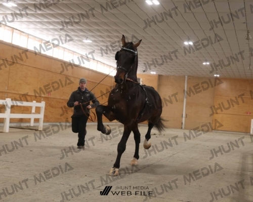 JHM_1589